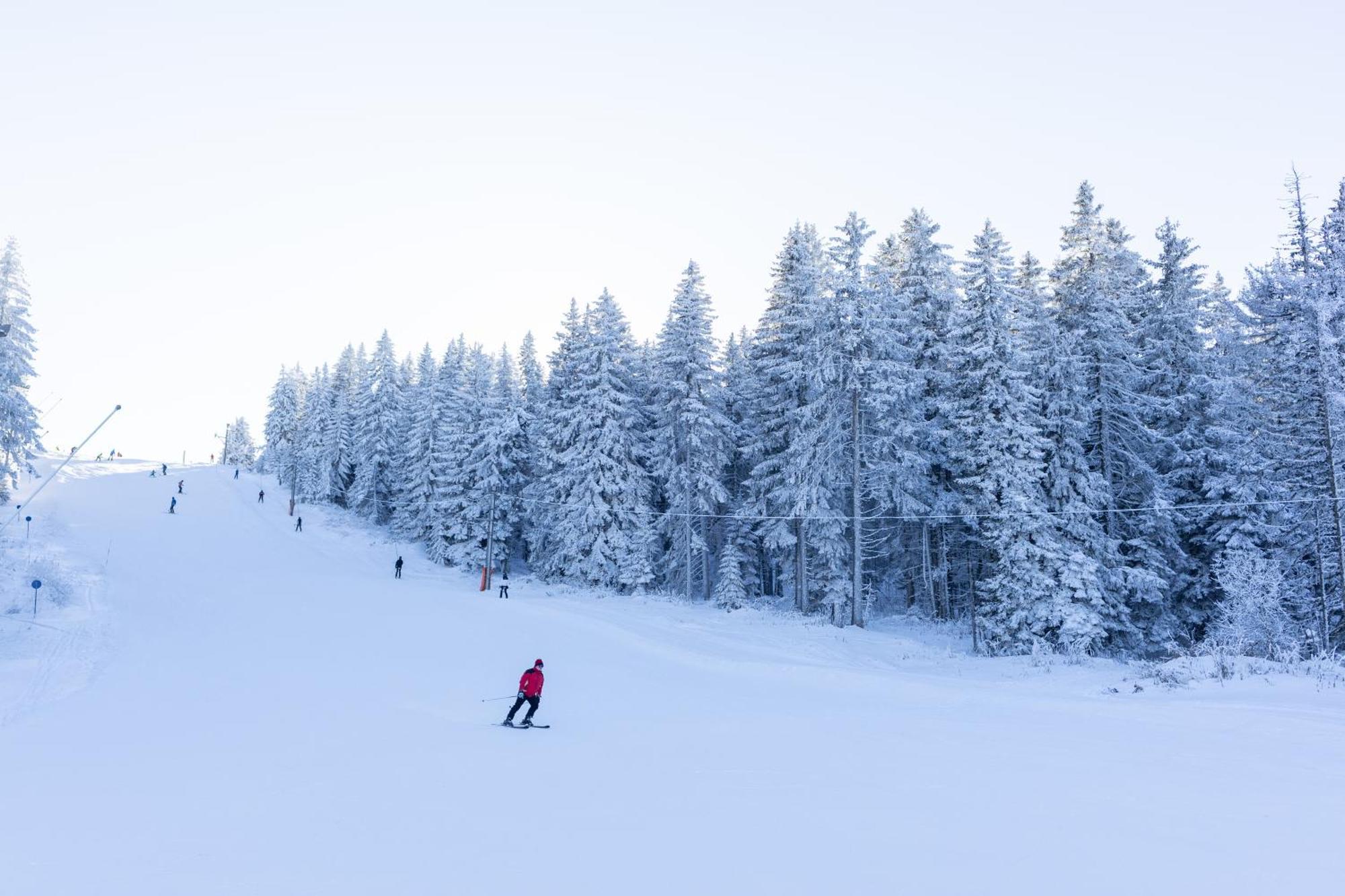 Planinske Vile M&S Kopaonik Exteriér fotografie
